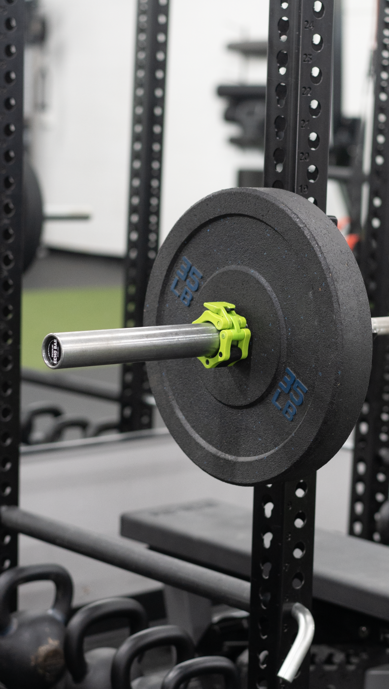 Barbell and weight plates at Trainr
